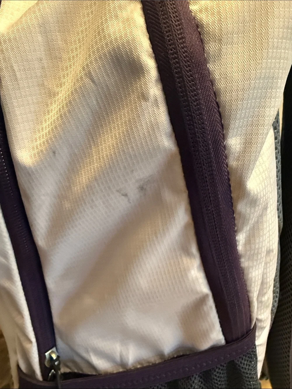Swiss Tech Light Pink and Plum Casual Daypack